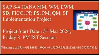 SAP S/4 Hana Implementation Project 15th March 2024. Call: Jay +9178670 78125