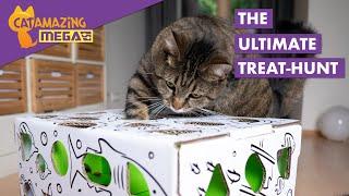 The Ultimate Treat-hunt – Cat Amazing MEGA Interactive Puzzle Feeder Cat Toy