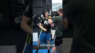 Dein Boxtraining bei Alpha Sports