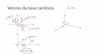 Vetores da Base Canônica