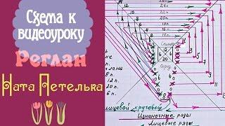 Схема к видеоуроку "Учимся вязать реглан сверху спицами".