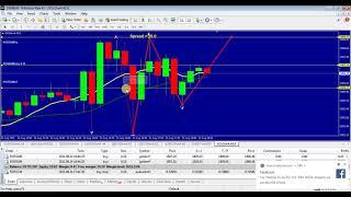 TRADE FOREX||| NELPAS FX TV