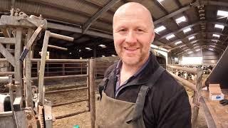 JUNE on our WELSH DAIRY FARM