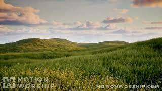 Prairie Grass Wind HD Loop by Motion Worship