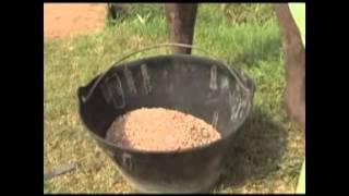 Land preparation instruction video for lowland rice development