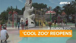 "Cool Zoo" returns to Audubon Zoo