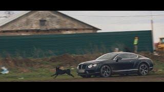 Тест-драйв от Давидыча Bentley Continental GT