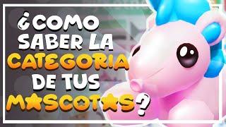 ¿Cómo Saber La CATEGORIA De Tus MASCOTAS?