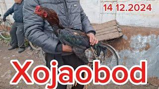 Андижон вилояти Хожаобод хайвон бозори 14.12.2024 #vodiydansado #Xabarlar #blogger