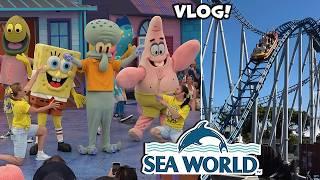 NEW! Sea World Gold Coast Visit & Update! | December 2024 | Theme Park Video