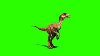 Green Screen Dinosaurs Velociraptor Prehistory - Footage PixelBoom