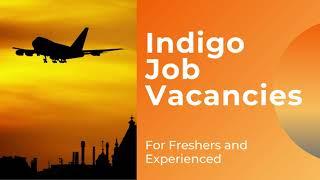 Indigo job vacancy 2021