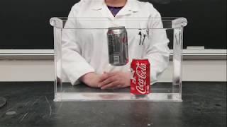 Coke vs Diet Coke