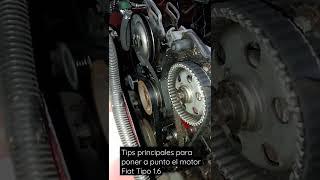 Tips Poner a punto motor Fiat tipo 1.6