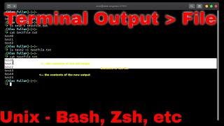 Save Terminal Output to File - Bash | bash, zsh, sh, etc. (Linux / MacOS)