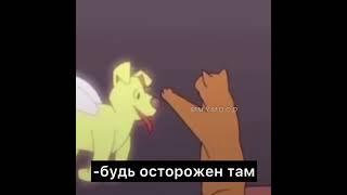 Я не хочу щтоб люди ,жывотные умерали