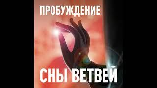 Сны ветвей | Пробуждение