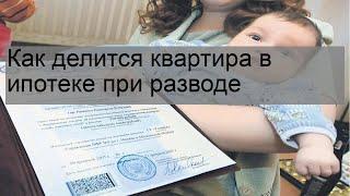 Как делится квартира в ипотеке при разводе