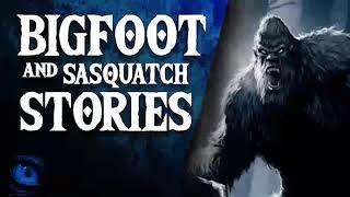ANGRY BIGFOOT - 30 SCARY SASQUATCH STORIES AND BIGFOOT SIGHTINGS - What Lurks Above