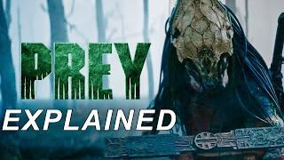 Prey (2022) Breakdown - Feral Predator Origins, Weapons, Connection to Alien & Ending