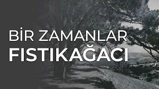 Bir Zamanlar Fıstıkağacı