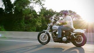 Harleys On The Open Road