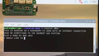 Offline & Real-Time Speech-to-Text Running on Raspberry Pi Zero