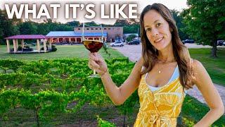 24 Hours at a Winery (What It's Like)