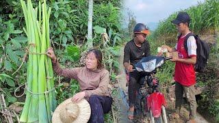 Help grandma fertilize corn - Thang came to see Duong but did not have the courage to meet him