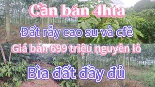 Cần bán 4hta đất rẫy cao su và cfê/ giá bán 699 triệu nguyên lô