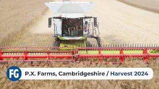 Harvest 2024 | PX Farms in Cambridgeshire, feat. Claas Combines