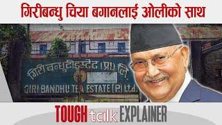 गिरीबन्धु चिया बगानलाई ओलीको साथ || TOUGH talk Explainer ||