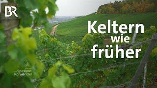 Wein aus Tradition: Frankenwein aus der Dockenkelter | Zwischen Spessart und Karwendel | BR