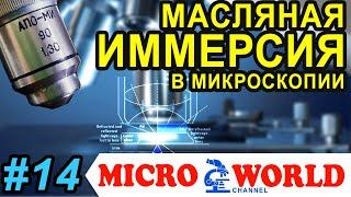 МАСЛЯНАЯ ИММЕРСИЯ В МИКРОСКОПИИ - MICRO WORLD #14