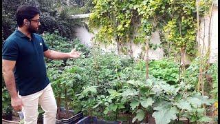 Complete Tour of My Organic Home Garden | Vegetable & Flower Gardening