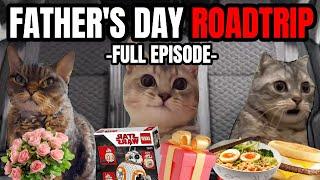 CAT MEMES: THE FATHER'S DAY ROADTRIP