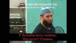 Шокирующие убеждения ваххабитов (псевдосаляфитов)