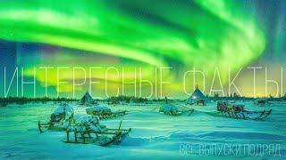 Интересные факты: все выпуски подряд. Ямал. Жизнь в тундре. Коренные народы.