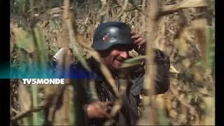 Película - APRÈS LA GUERRE - Con Subtítulos por TV5MONDE Latina