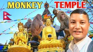 Swayambhunath, The Monkey Temple Kathmandu Nepal | 