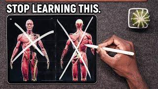 Learning Anatomy for Art? Study this FIRST.