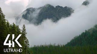 Fascinating Mountains in Fog - 8HRS of Soothing Sound of Wind and Bird's Chirping