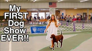 My FIRST AKC Dog Show Experience Ever I was SO NERVOUS!! | Redbone Coonhound