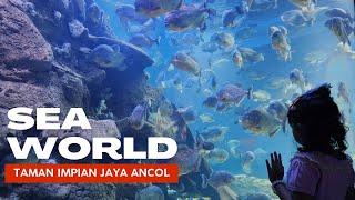 Sea World Ancol │ Aquarium Raksasa Bawah Laut