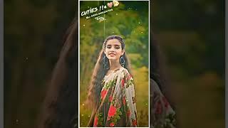 New Timli Status 2025||DJ Remix Gujarati Timli Whatsapp Status 2025||New Timli Gujarati Song