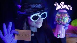 VISITA ALLA FABBRICA DI CIOCCOLATO DI WILLY WONKA | Roleplay ASMR ITA