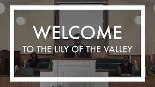 Lily Of The Valley COGIC 8/14/22 " What Happens When You Seek The Lord?"