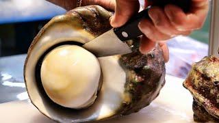 Japanese Street Food - GIANT ALIEN SNAILS Sashimi Okinawa Japan