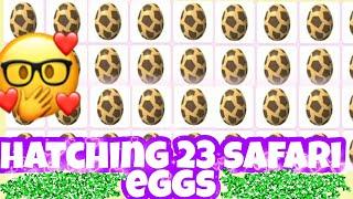 Hatching 23 Safari Eggs In Adopt Me