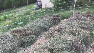 Your Grass Fed Garden, Build Great Soil Quickly and Reduce Weeds